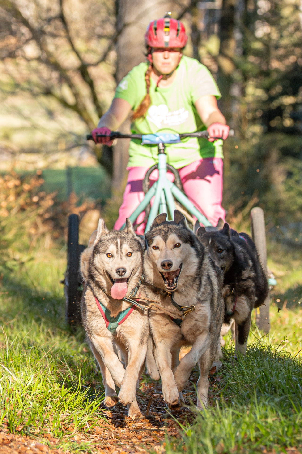 Morpheus, en tête à droite sur la photo